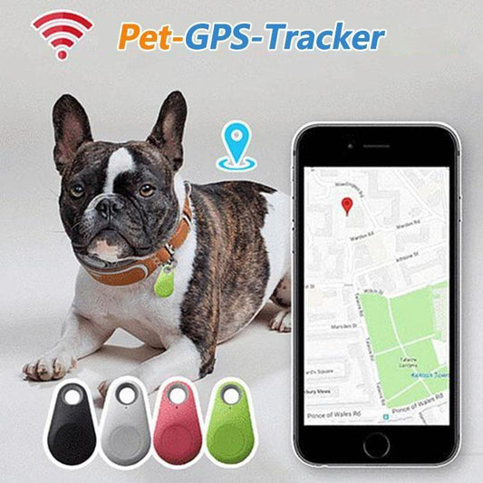 kaufsy | Smart GPS-Tracker für Haustiere