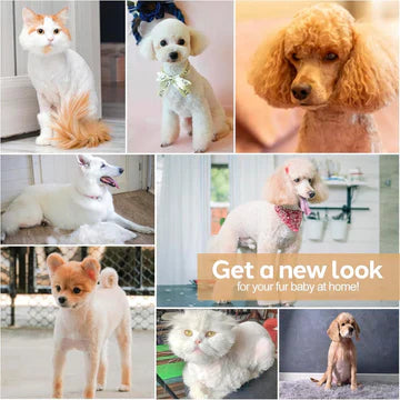 kaufsy | Hundepflege Clippers Kit