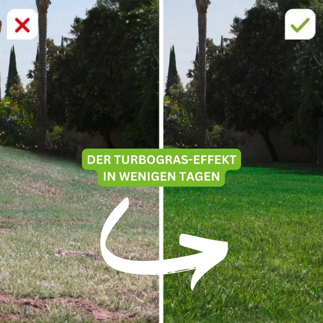 Turbogras - für gesunden und schnellwachsenden Rasen inkl. Gratis eBook für nachhaltige Gartenpflege