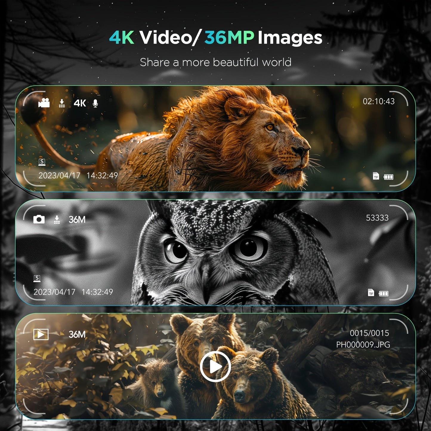 Nachtsicht Fernglas, Jagdausrüstung, digital, robust