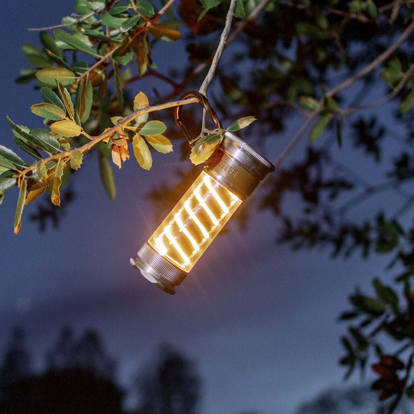 Edison Light Stick – Mehrzweck-Laterne und Taschenlampe mit USB-C-Aufladung und 7 Leuchtmodi