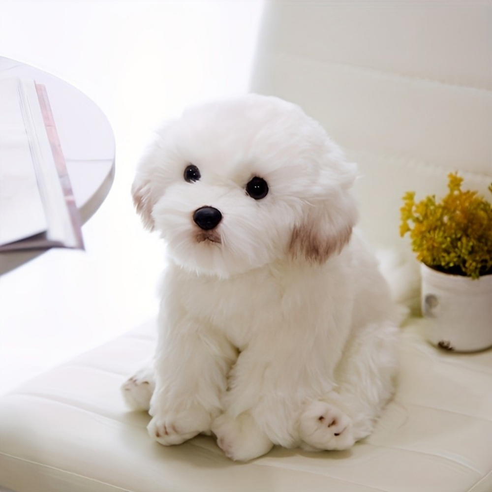 Plüsch Hundespielzeug, Teddy Welpe, kuscheliges Stofftier Geschenk