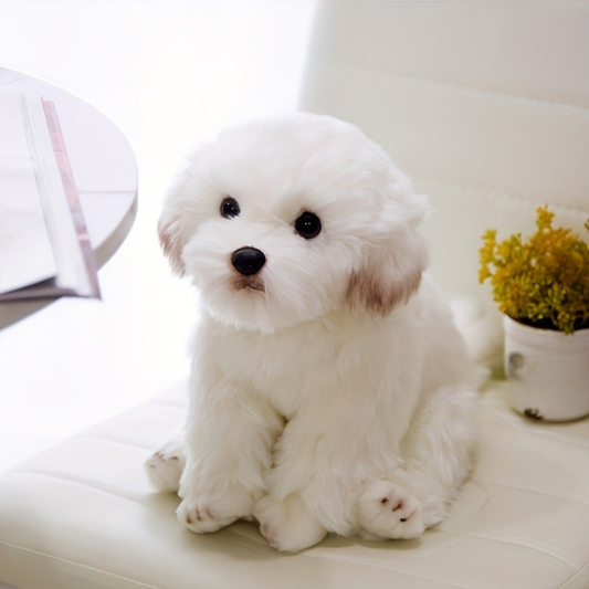 Plüsch Hundespielzeug, Teddy Welpe, kuscheliges Stofftier Geschenk