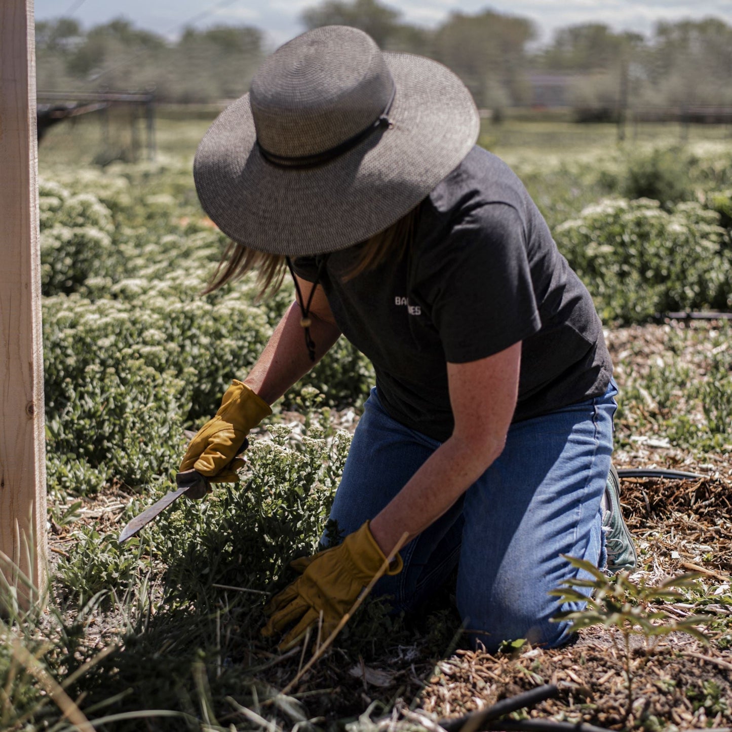 Hori Hori Ultimate – Das All-in-One-Werkzeug für Garten & Outdoor