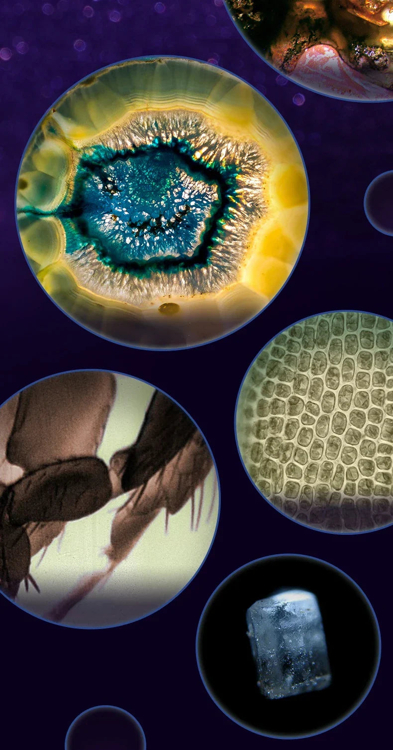 kaufsy | Tragbares HD-Optisches Abenteuer-Mikroskop