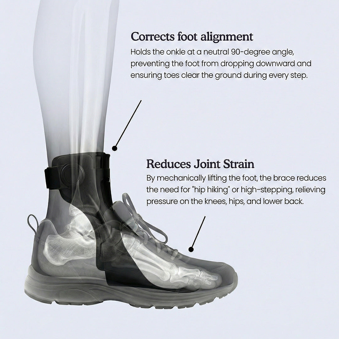 Fußheberorthese – Verstellbare Knöchel- und Zehenstütze zur Unterstützung einer stabileren Gehbewegung