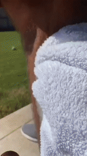 kaufsy | Schaum-Haarentfernungspray