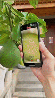 kaufsy | Tragbares Mobiles LED-Mikroskop-Objektiv