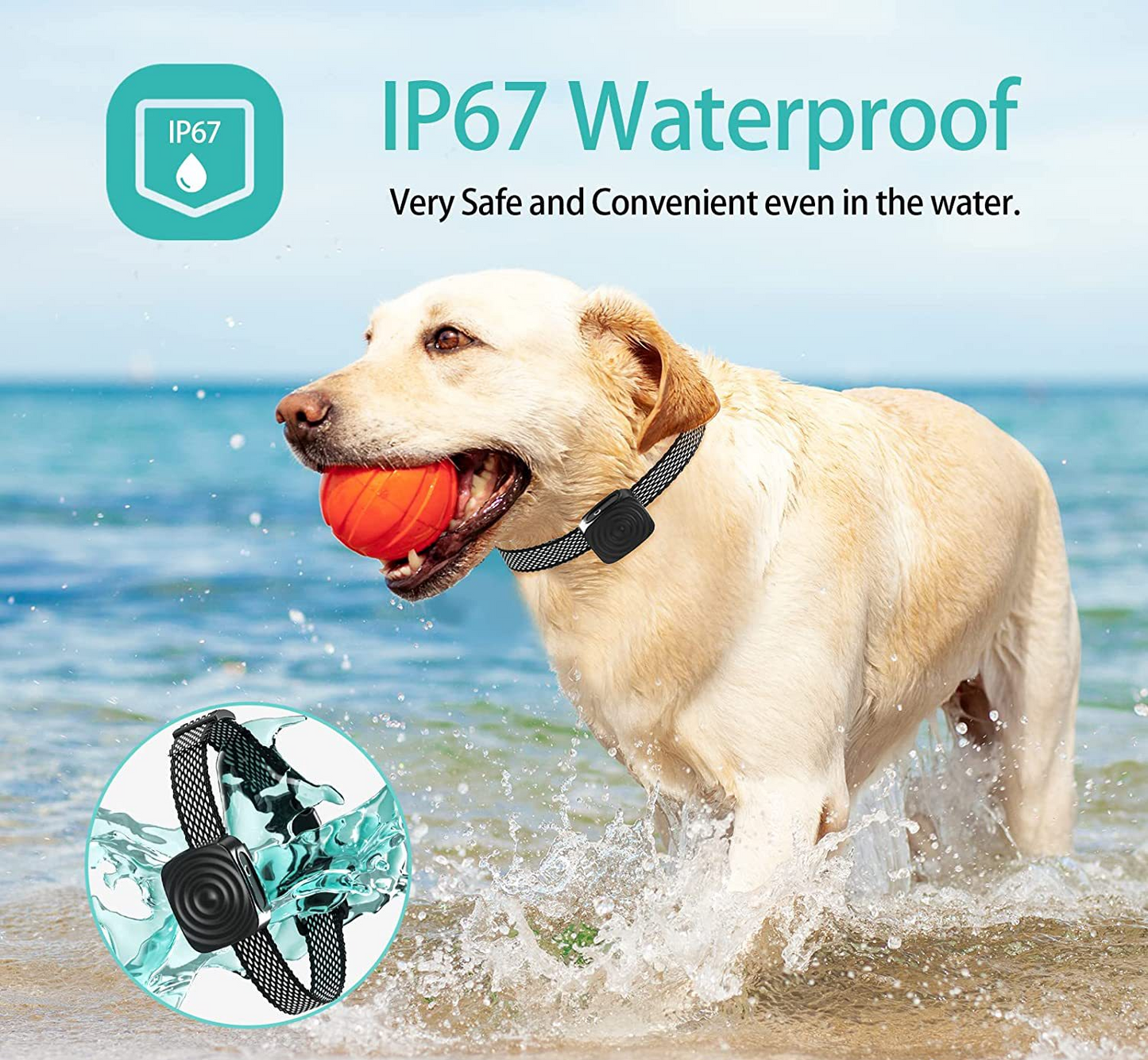 Hundehalsband Anti-Bellen für kleine Hunde, Trainingshilfe